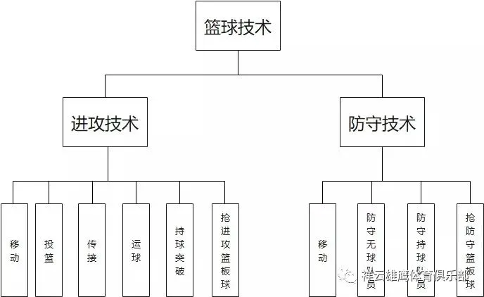 家长如何为孩子选择合适的篮球冬令营?_1